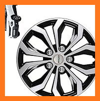 61u+aWZjYBL. AC CR0,0,0,0 SX206 SY216 .jpg