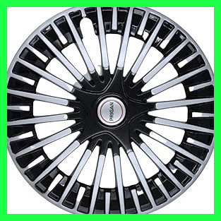 61IaSBVT8dL. AC CR0,0,0,0 SX313 SY328 .jpg