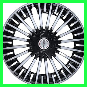 61IaSBVT8dL. AC CR0,0,0,0 SX301 SY283 .jpg