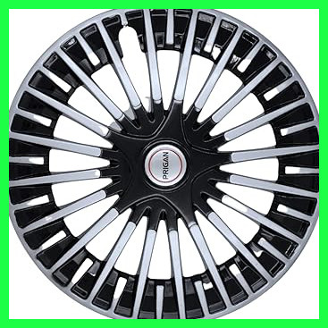 61IaSBVT8dL. AC CR0,0,0,0 SX367 SY384 .jpg