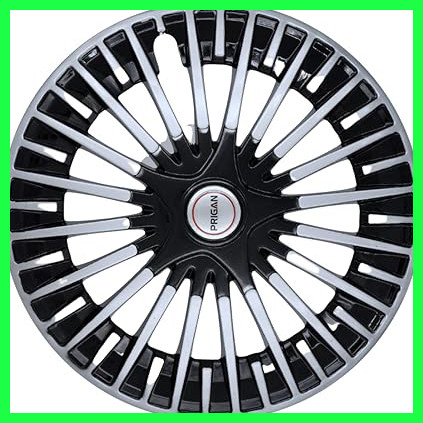 61IaSBVT8dL. AC CR0,0,0,0 SX451 SY423 .jpg