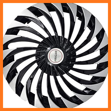 81 enQMhazL. AC CR0,0,0,0 SX367 SY384 .jpg