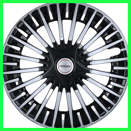 61IaSBVT8dL. AC CR0,0,0,0 SX451 SY423 .jpg