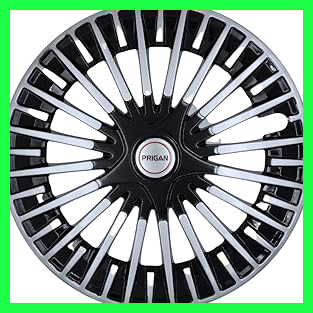 61IaSBVT8dL. AC CR0,0,0,0 SX313 SY328 .jpg