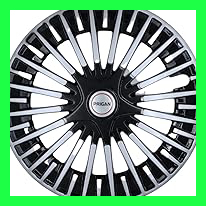 61IaSBVT8dL. AC CR0,0,0,0 SX206 SY216 .jpg