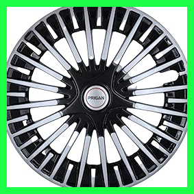 61IaSBVT8dL. AC CR0,0,0,0 SX301 SY283 .jpg