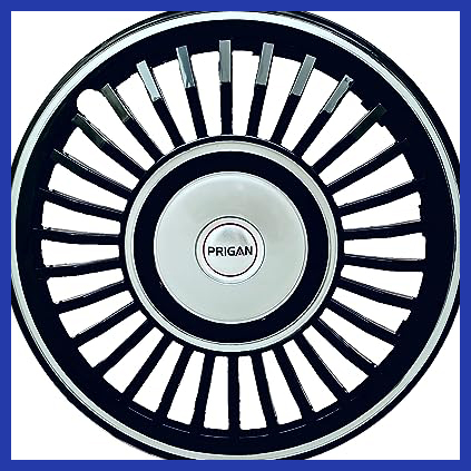 81 L+qnPfhL. AC CR0,0,0,0 SX451 SY423 .jpg