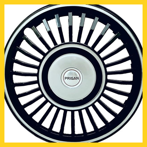 81 L+qnPfhL. AC CR0,0,0,0 SX704 SY660 .jpg