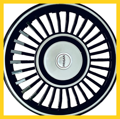 81 L+qnPfhL. AC CR0,0,0,0 SX704 SY660 .jpg