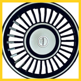 81 L+qnPfhL. AC CR0,0,0,0 SX704 SY660 