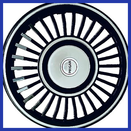 81 L+qnPfhL. AC CR0,0,0,0 SX451 SY423 .jpg