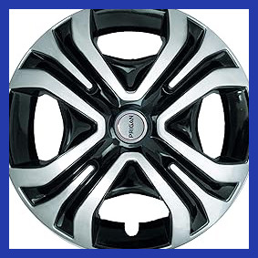 81kITBjVHgL. AC CR0,0,0,0 SX301 SY283 .jpg