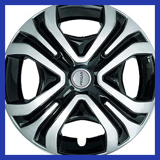 81kITBjVHgL. AC CR0,0,0,0 SX313 SY328 .jpg