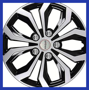 81RExw0HcBL. AC CR0,0,0,0 SX313 SY328 .jpg