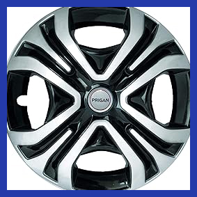 81kITBjVHgL. AC CR0,0,0,0 SX301 SY283 .jpg