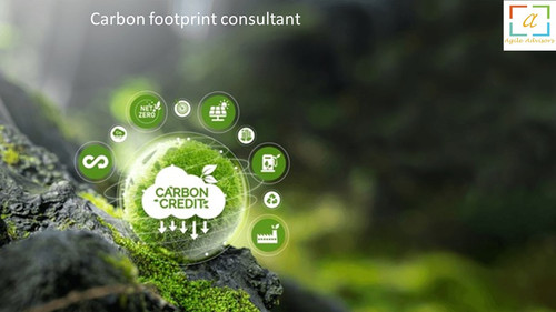 Carbon footprint consultant 1.jpg