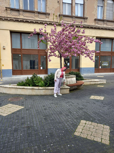 20230416 110147.jpg