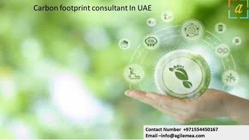 Carbon footprint consultant In UAE.jpg
