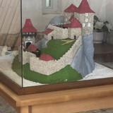 IMG 1121