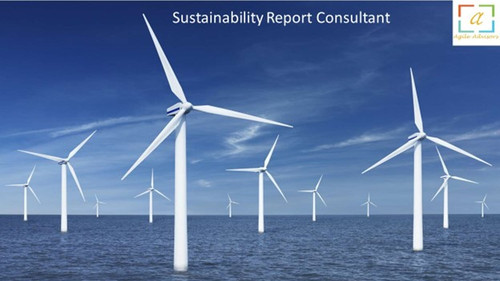 Sustainability Report Consultant.jpg