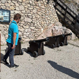 IMG 1161