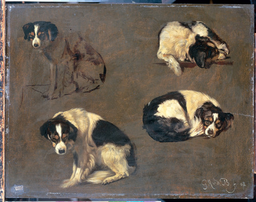 Brugghen, Guillaume Anne van der Четыре эскиза собаки, 1868, 25 cm x 31,5 cm, Бумага на панели, масл