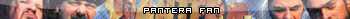 Pantera Fan.jpg