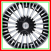 61IaSBVT8dL. AC CR0,0,0,0 SX206 SY216 .jpg
