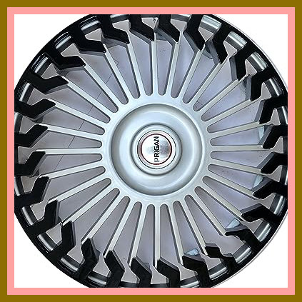 813ZfEg8b8L. AC CR0,0,0,0 SX451 SY423 .jpg