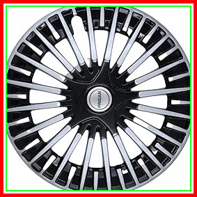 61IaSBVT8dL. AC CR0,0,0,0 SX301 SY283 .jpg