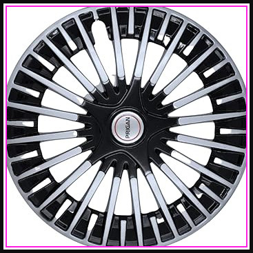 61IaSBVT8dL. AC CR0,0,0,0 SX367 SY384 .jpg