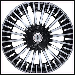 61IaSBVT8dL. AC CR0,0,0,0 SX313 SY328 .jpg