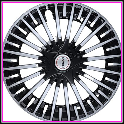 61IaSBVT8dL. AC CR0,0,0,0 SX451 SY423 .jpg
