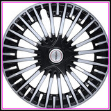61IaSBVT8dL. AC CR0,0,0,0 SX451 SY423 