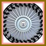 813ZfEg8b8L. AC CR0,0,0,0 SX301 SY283 