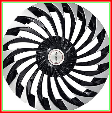81 enQMhazL. AC CR0,0,0,0 SX367 SY384 .jpg