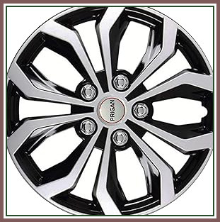 81RExw0HcBL. AC CR0,0,0,0 SX313 SY328 .jpg