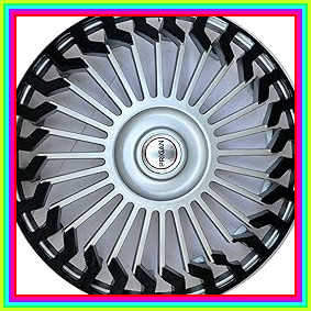 813ZfEg8b8L. AC CR0,0,0,0 SX301 SY283 (2).jpg