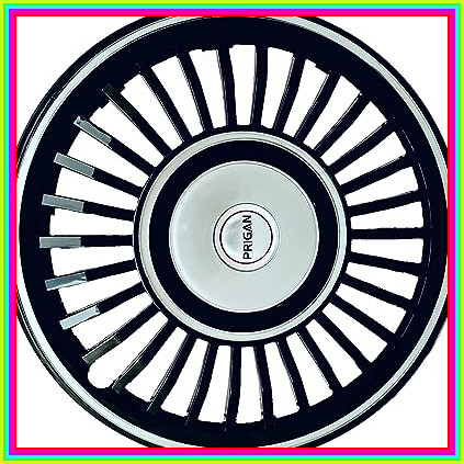 81 L+qnPfhL. AC CR0,0,0,0 SX451 SY423 .jpg