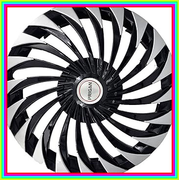 81 enQMhazL. AC CR0,0,0,0 SX367 SY384 .jpg