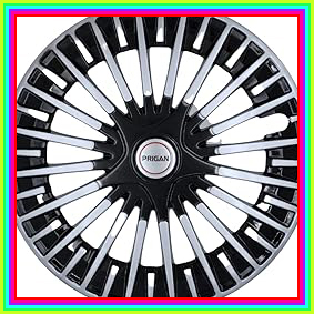 61IaSBVT8dL. AC CR0,0,0,0 SX301 SY283 .jpg