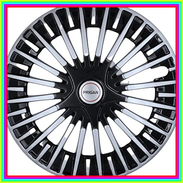 61IaSBVT8dL. AC CR0,0,0,0 SX367 SY384 .jpg