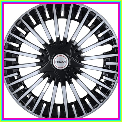 61IaSBVT8dL. AC CR0,0,0,0 SX451 SY423 .jpg