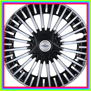 61IaSBVT8dL. AC CR0,0,0,0 SX313 SY328 .jpg