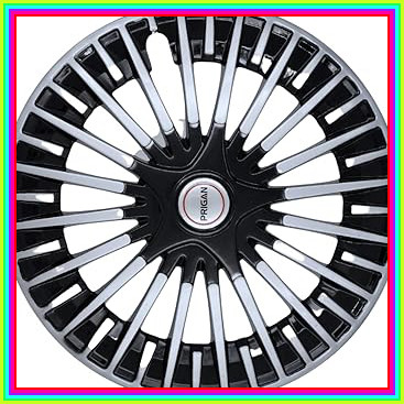 61IaSBVT8dL. AC CR0,0,0,0 SX367 SY384 .jpg