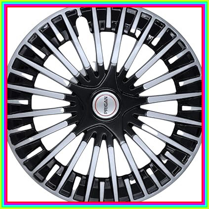 61IaSBVT8dL. AC CR0,0,0,0 SX451 SY423 .jpg