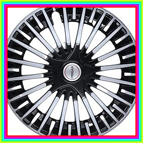 61IaSBVT8dL. AC CR0,0,0,0 SX301 SY283 .jpg