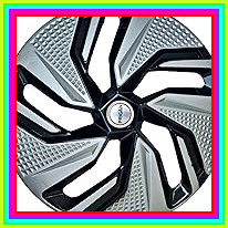 81rq8REKLqL. AC CR0,0,0,0 SX206 SY216 .jpg