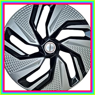 81rq8REKLqL. AC CR0,0,0,0 SX313 SY328 .jpg