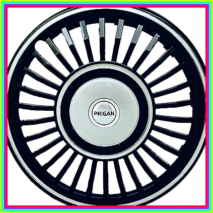 81 L+qnPfhL. AC CR0,0,0,0 SX451 SY423 .jpg